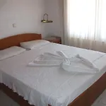 Delphin 3*