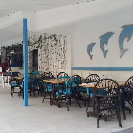 Delphin 3* Сиде